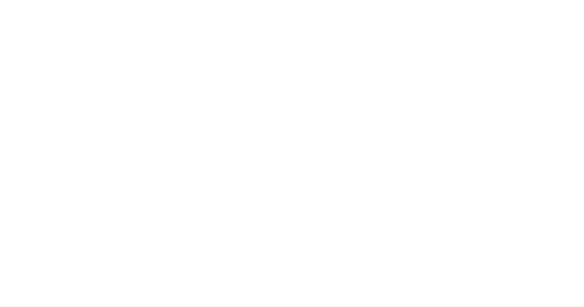 Pristine Auto Spa